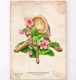 Vertèbre thoracique - Floral - Vintage-Codex Anatomicus Clearance