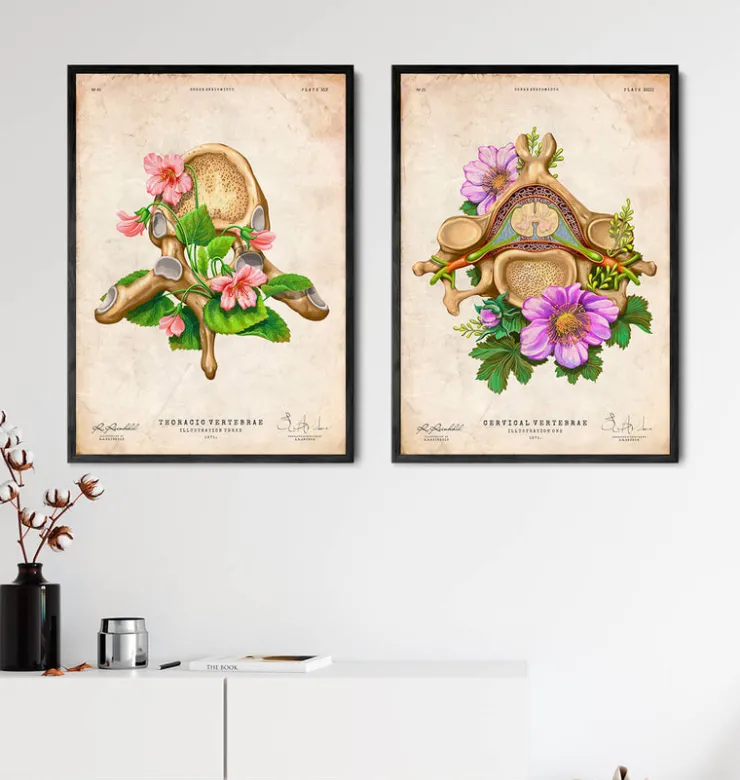 Vertèbre thoracique - Floral - Vintage-Codex Anatomicus Clearance