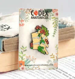 Vertèbres thoraciques - Pins-Codex Anatomicus Outlet