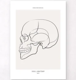 Vue latérale du crâne - Line Art-Codex Anatomicus Discount