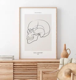 Vue latérale du crâne - Line Art-Codex Anatomicus Discount