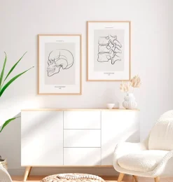 Vue latérale du crâne - Line Art-Codex Anatomicus Discount